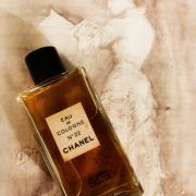 N22 by Chanel Parfum  Reviews  Perfume Facts
