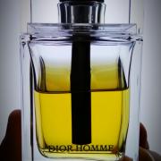 dior homme eau de toilette fragrantica