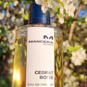 Cedrat Boise Mancera perfume - a fragrance for women and men