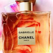 Chanel Gabrielle for Women Eau De Parfum Spray, 3.4 Ounce, 3.4 ounces  (3145891205251) : : Beauty & Personal Care