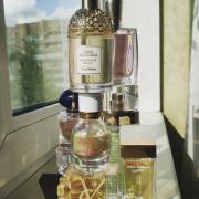 My Way Giorgio Armani perfume - a new fragrance for women 2020