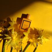 Gu*ci Bloom – Bavariperfumes