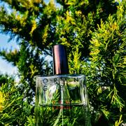 Photo by manonlescaut