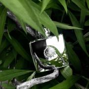 Photo by Крестражница