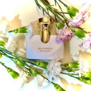 香水(女性用) bvlgari splendida patchouli tentation 楽天市場】【マラソン当店P最大12倍！】ブルガリ BVLGARI