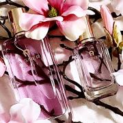 Debut Etienne perfume a fragrance for women 2013