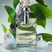 Pour Homme Eau De Parfum Bvlgari 古龙水- 一款2024年男用香水