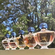 Shalimar Millésime Tonka Guerlain perfume - a fragrance for women 2022