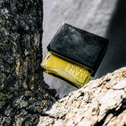 香水(男性用) GUCCI ENVY FOR MEN Eau de Toilette 50ml Envy for Men Gucci cologne - a fragrance for men 1998