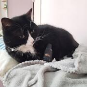 Photo by Amandine246