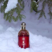 Ambre Samar Guerlain 香水- 一款2025年新的中性香水