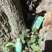 Photo by Run, Nena, run