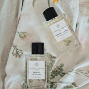 Orange X Santal Essential Parfums perfume - a fragrance for women and ...