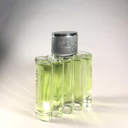 Good Life Davidoff cologne - a fragrance for men 1998
