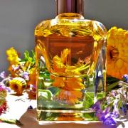Jour d'Hermes Absolu Hermès perfume - a fragrance for women 2014