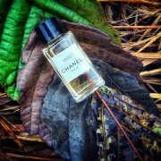 1932 Eau de Parfum Chanel perfume - a fragrância Feminino 2016