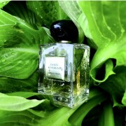 Jasmin Kusamono Giorgio Armani 香水- 一款2020年女用香水