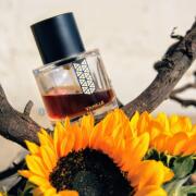 Vanille Havane Coeur de Oud Les Indemodables perfume - a new Vanille Havane Coeur de Oud Les Indemodables perfume - a new