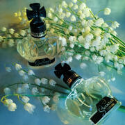 Photo by Engel desTodes