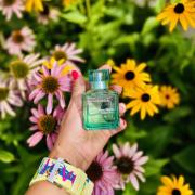 Buy John Louis Monroe Perfumed Deodorant Body Spray, For Women, 200ml  Online at Best Price in Pakistan 