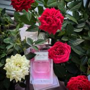 Miss Dior Rose N&#039;Roses Dior perfume - a fragrance for women 2020