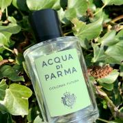 Acqua Di Parma Colonia Futura Eau De Parfum 50ml – Lookincredible