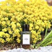 Parade Celine perfume - a fragrance for women and men 2019