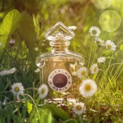 Vol De Nuit Eau De Toilette Guerlain аромат - аромат для жінок 2021