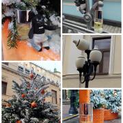 Photo by Корица1970