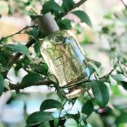 Limette 37 San Francisco Le Labo perfume - a fragrance for