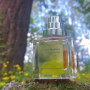 Aurore Nomade The Different Company perfume - a fragrance for