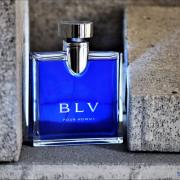Blv Pour Homme by Bvlgari Fragrance Samples, DecantX