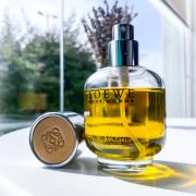Loewe Pour Homme Loewe cologne - a fragrance for men 1974
