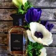 Bois d'Armenie Guerlain аромат - аромат для жінок та чоловіків 2006