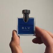 Blv pour homme fragrantica hotsell