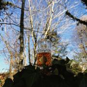 Photo by TheNatureBoy