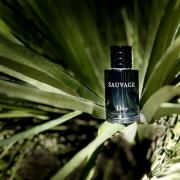 Dior Sauvage Eau De Parfum Review (2024): The Only Blue Fragrance You'll  Ever Need - Scent Grail