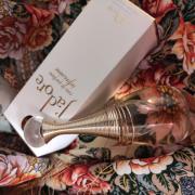 香水(女性用) Dior J'adore Eau de Parfum Infini Amazon.com : Dior J'adore Infinissime Eau De Parfum Spray