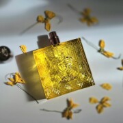 Eros Energy Versace コロン - 2024年の男性用 フレグランス