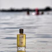 Cedrat Boise Mancera perfume - a fragrance for women and men