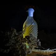 Photo by fabrice1977