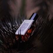 Photo by tatagaldino