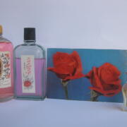 Photo by Vibia Sabina