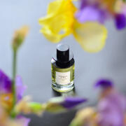 Amazon.com : Zara Jo Malone Silent Flowers Romance D'Iris