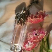 Photo by Lady in Red