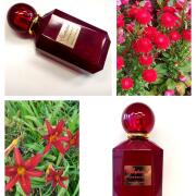 Photo by Корица1970