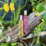Eau de Rhubarbe Ecarlate Hermès perfume - a fragrância