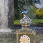 Liu Guerlain perfume - a fragrance for women 2021