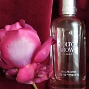 Rosa Absolute Molton Brown perfume - a fragrance for women 2016