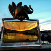 jungle kenzo fragrantica